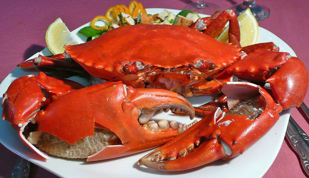 cooked mud crab (1)